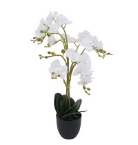 Plastic plant flower PPF20118