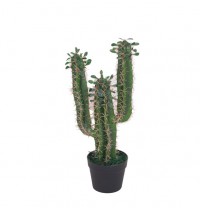 Plastic plant flower PPF20119